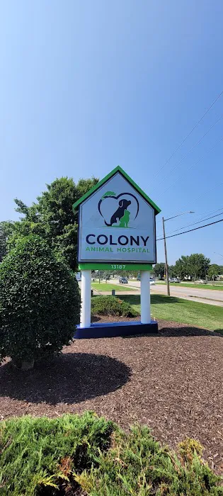 Colony Animal Hospital Picture 7