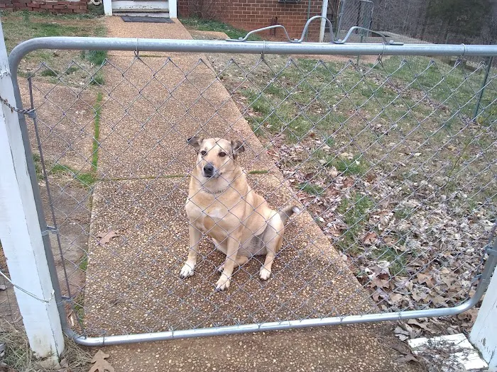 Slate River Veterinary Clinic Picture 9
