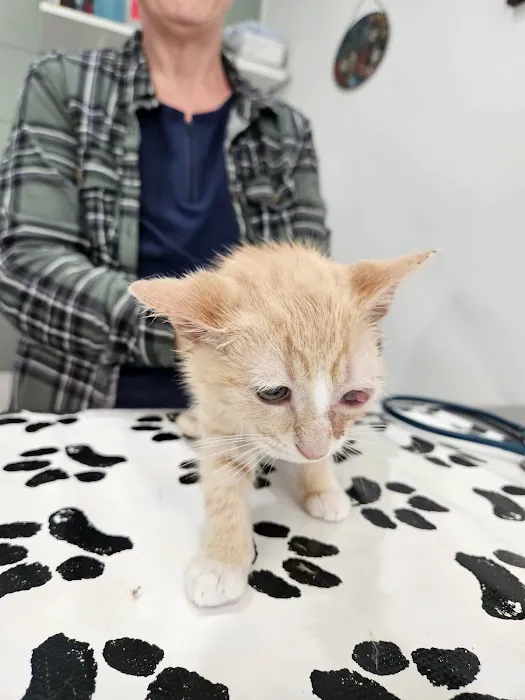 Paws & Claws Veterinary Clinic Picture 3