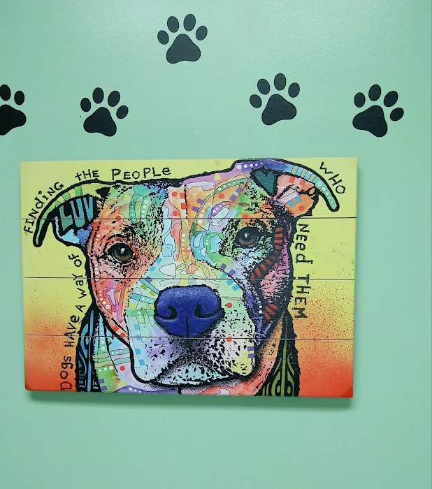 Disputanta Animal Hospital Picture 5