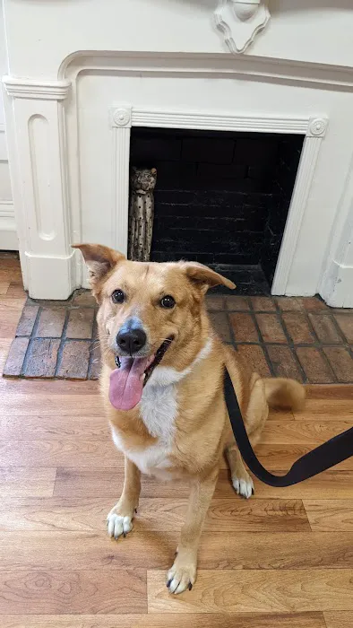 Baker House Animal Hospital Picture 1