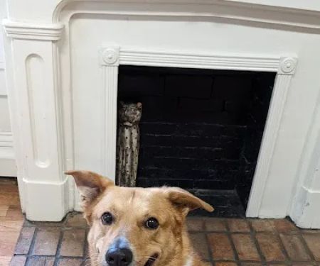 Baker House Animal Hospital