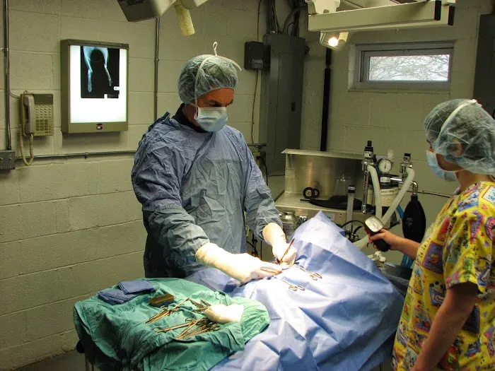 Baker House Animal Hospital Picture 8