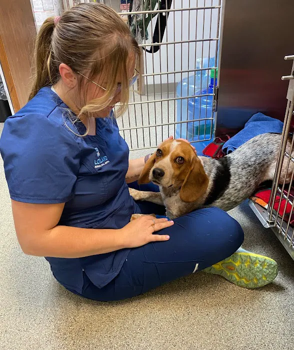 Loveland Regional Animal Hospital Picture 2