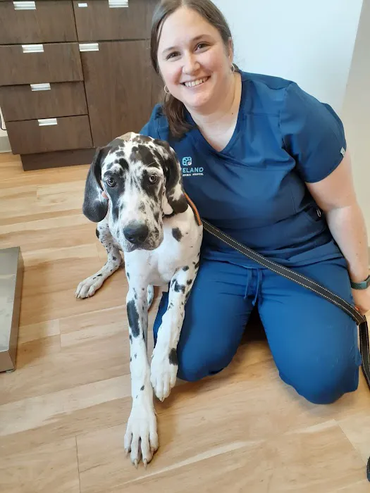 Loveland Regional Animal Hospital Picture 1