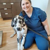 Loveland Regional Animal Hospital ico
