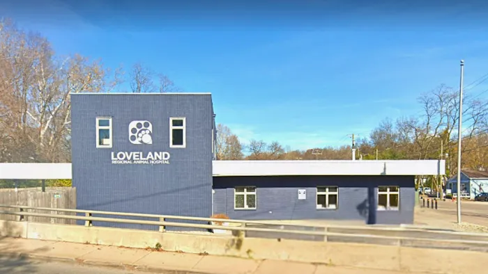 Loveland Regional Animal Hospital Picture 4