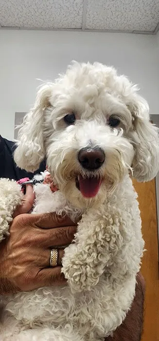 Loveland Regional Animal Hospital Picture 8