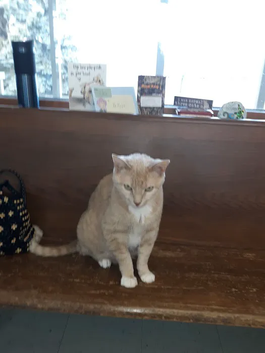Turtle Creek Animal Hospital Picture 4