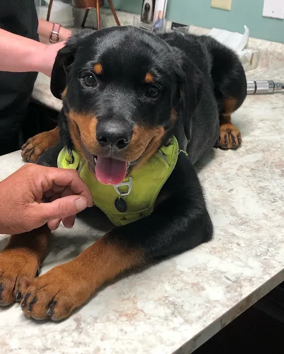 Bethel Community Pet Hospital Picture 7