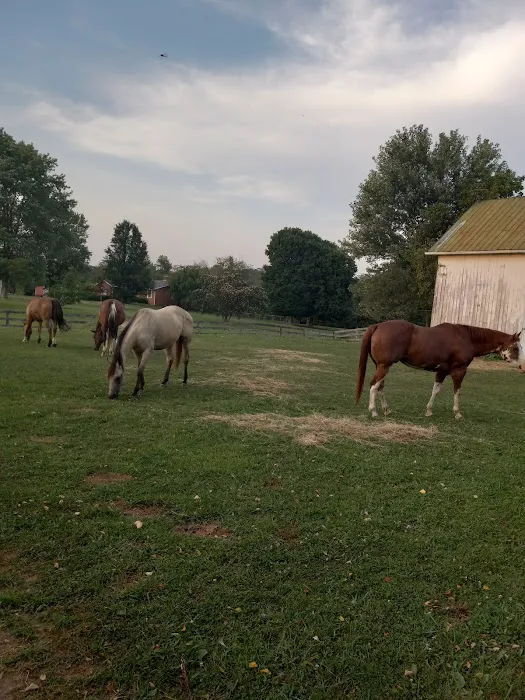 Rolling Hills Veterinary Service Picture 4