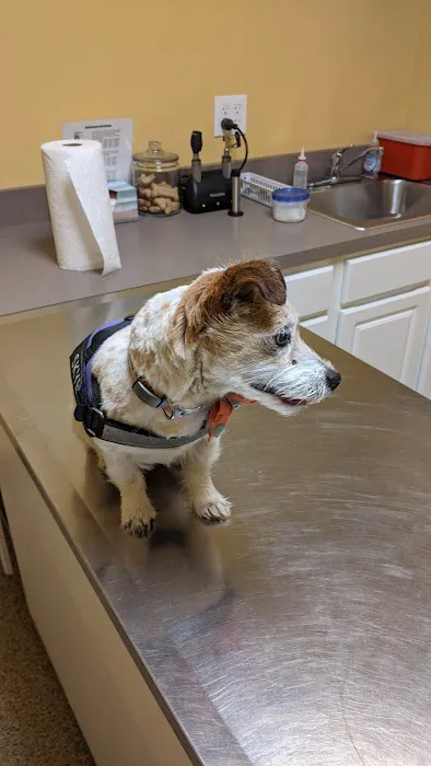 Rolling Hills Veterinary Service Picture 3