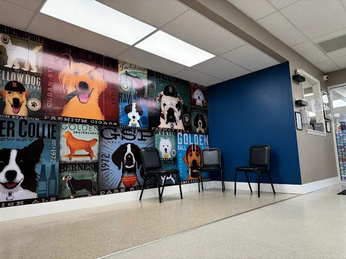 Lake Pointe Veterinary Hospital Picture 7