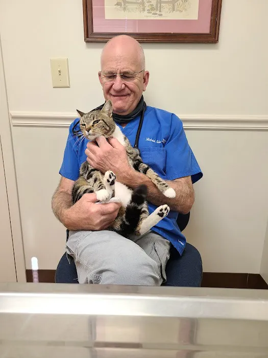 Town & Country Veterinary Picture 10