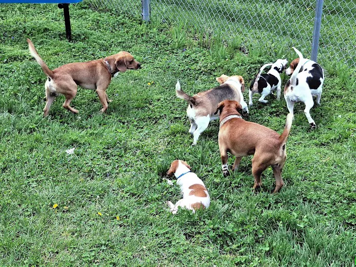 Colonial Heights Veterinary Clinic Picture 2