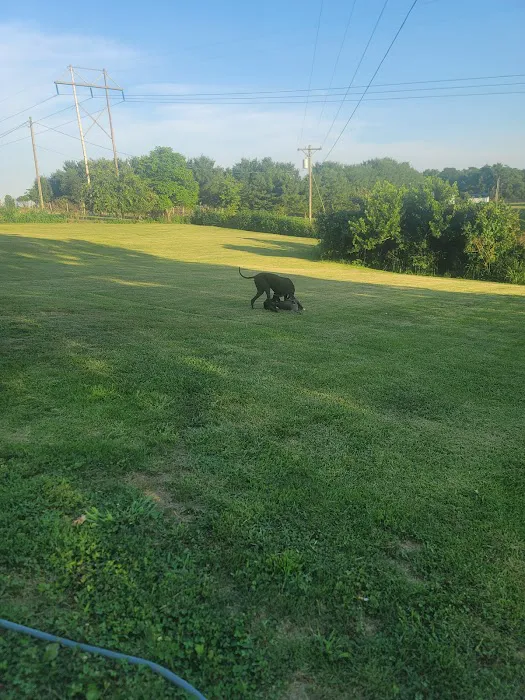 Colonial Heights Veterinary Clinic Picture 1
