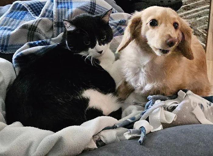 West Jefferson Animal Hospital Picture 7