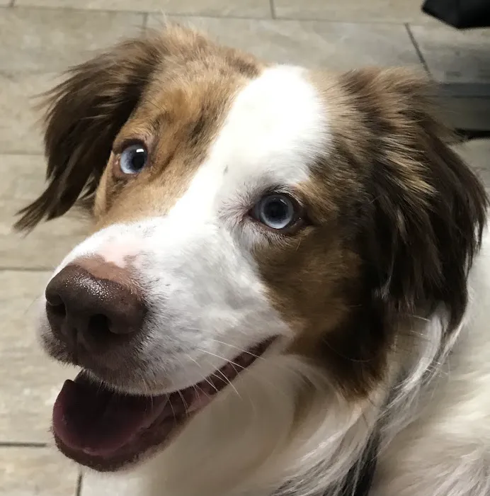 West Jefferson Animal Hospital Picture 10