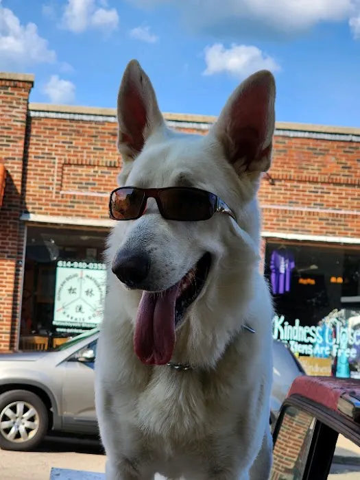 Champion Pet Vet Picture 7