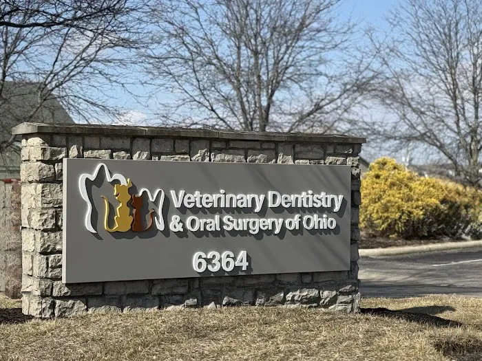 Veterinary Dentistry and Oral Surgery of Ohio Picture 1