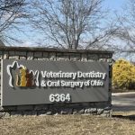Veterinary Dentistry and Oral Surgery of Ohio