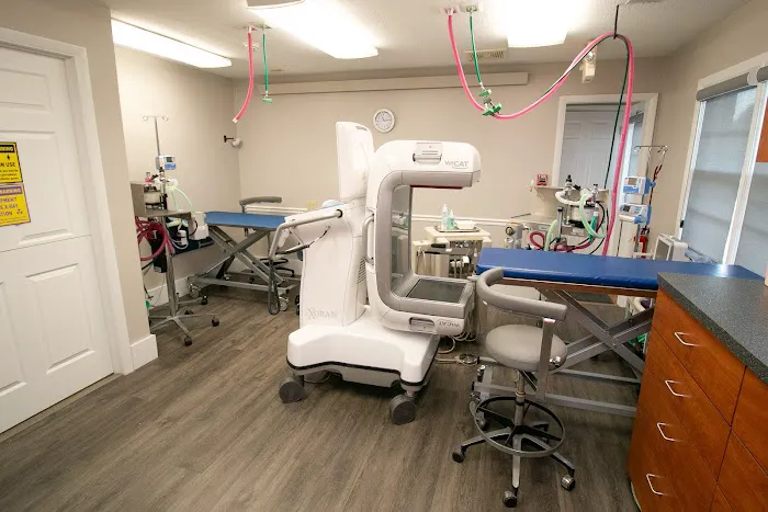 Veterinary Dentistry and Oral Surgery of Ohio Picture 5