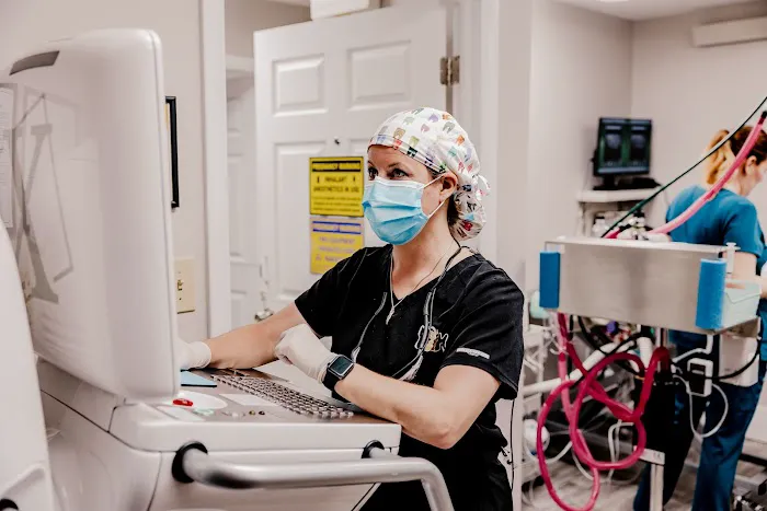 Veterinary Dentistry and Oral Surgery of Ohio Picture 4