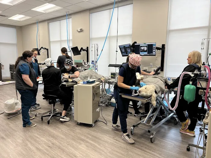 Veterinary Dentistry and Oral Surgery of Ohio Picture 9