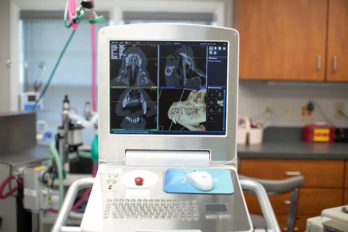 Veterinary Dentistry and Oral Surgery of Ohio Picture 10