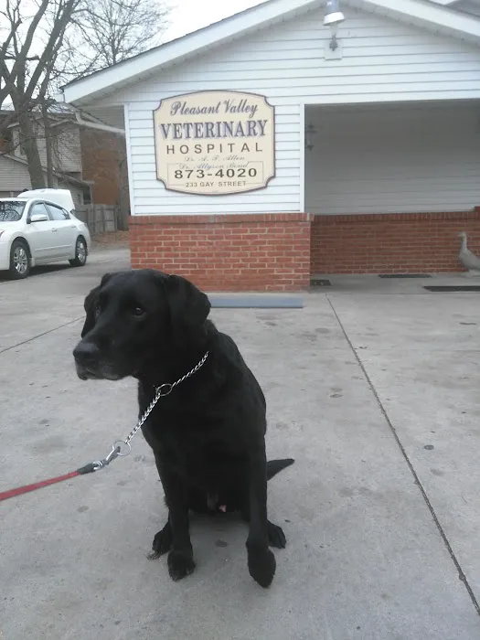 Community Veterinary Clinic Picture 9