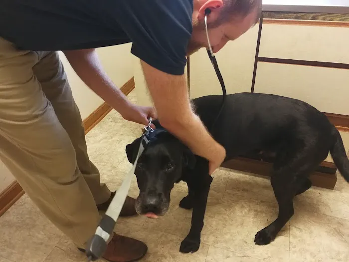 Community Veterinary Clinic Picture 10