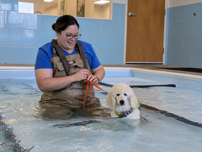 Mad River Veterinary Hospital Picture 3