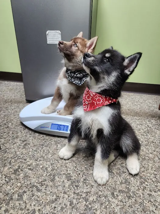 Mad River Veterinary Hospital Picture 5