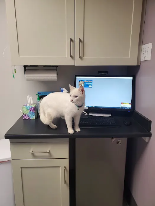 Mad River Veterinary Hospital Picture 10
