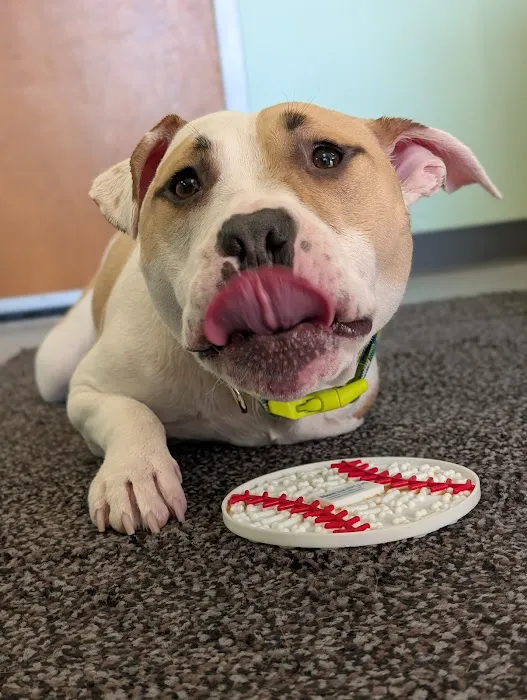 PAW Center Picture 5