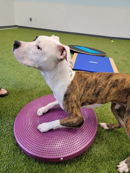 PAW Center Picture 6