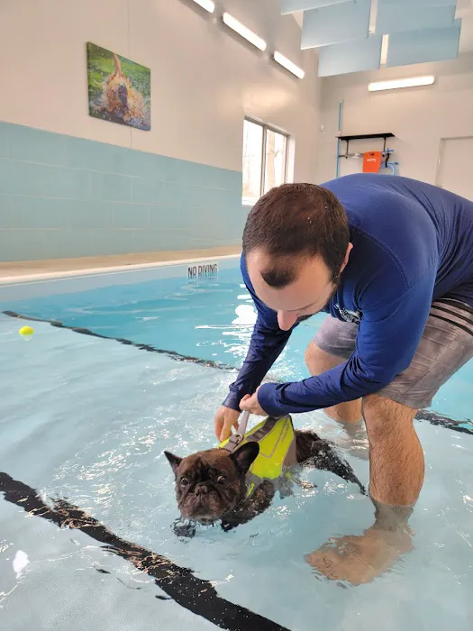 PAW Center Picture 4