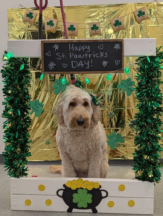 PAW Center Picture 9