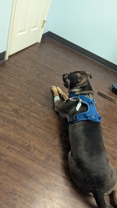 Bailey Animal Clinic, Inc. Picture 1