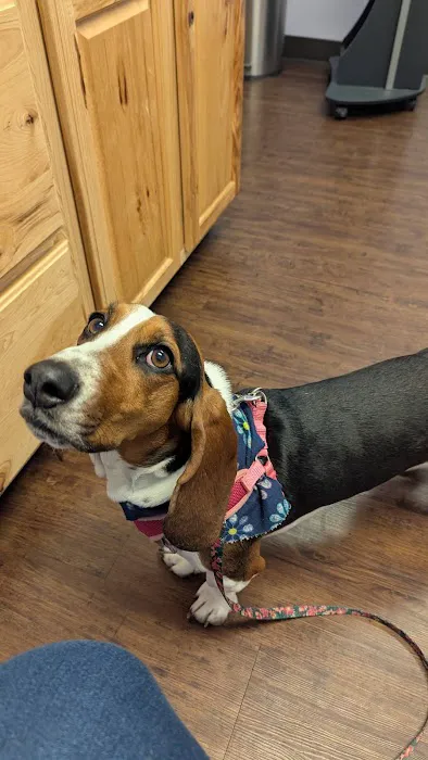 Bailey Animal Clinic, Inc. Picture 4
