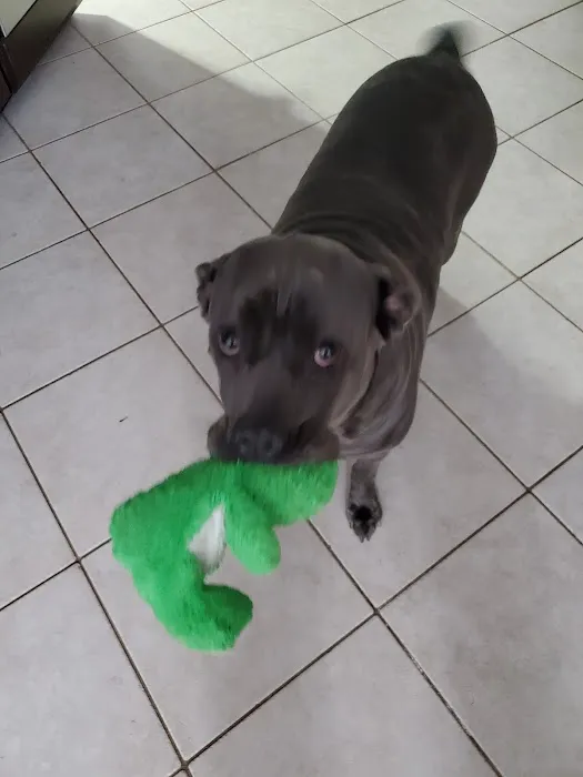 Bailey Animal Clinic, Inc. Picture 10