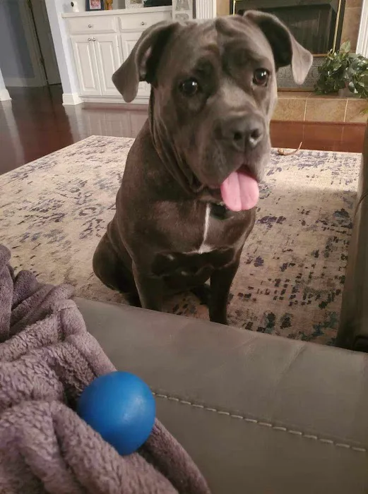 Bailey Animal Clinic, Inc. Picture 9