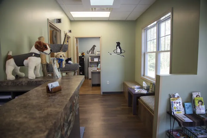 Clermont Animal Hospital Inc. Picture 3