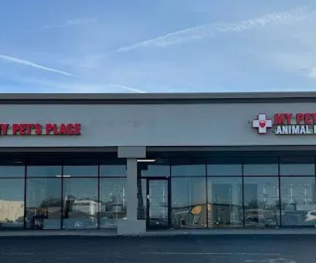 My Pet's Vet Eastgate