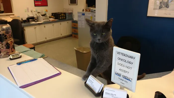 Veterinary Oncology & Referral Picture 5