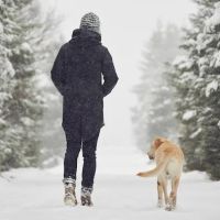 Banfield Pet Hospital ico