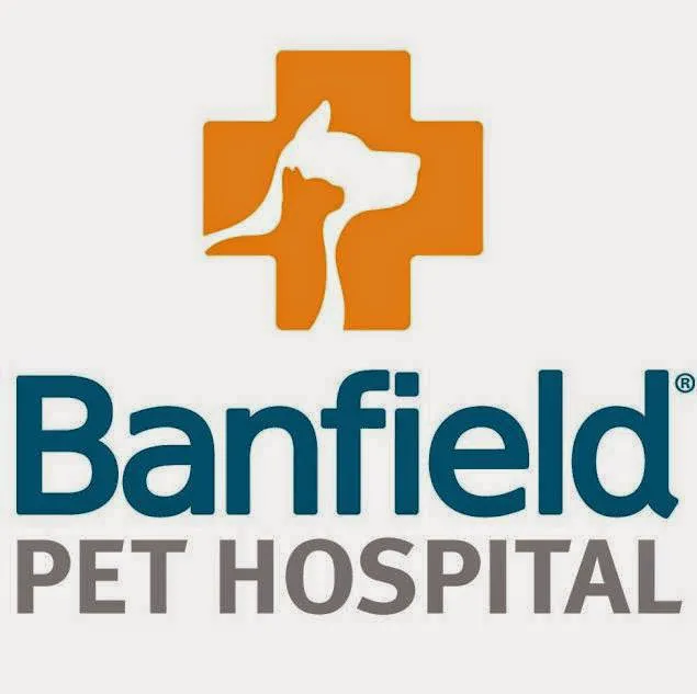 Banfield Pet Hospital Picture 4
