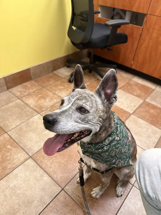Banfield Pet Hospital Picture 1