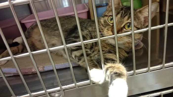Banfield Pet Hospital Picture 9