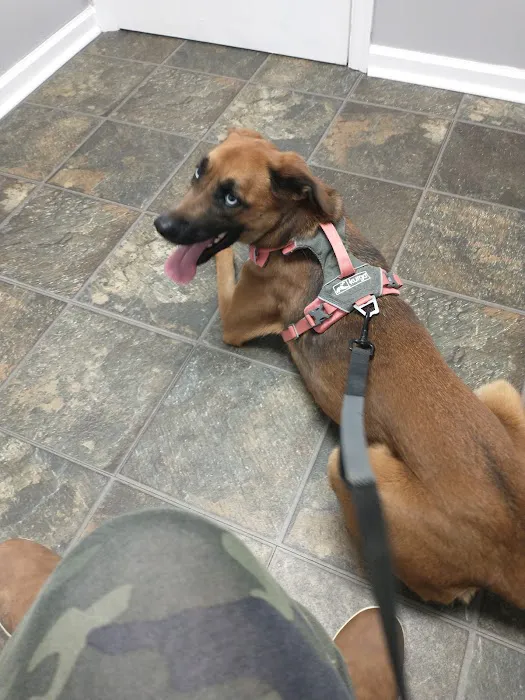 Withamsville Animal Hospital Picture 2